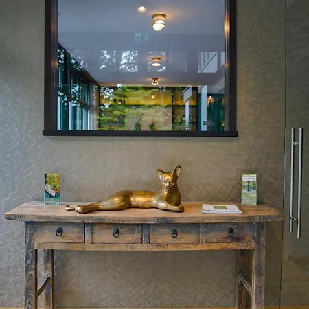 فندق Essensio Duesseldorf 4*