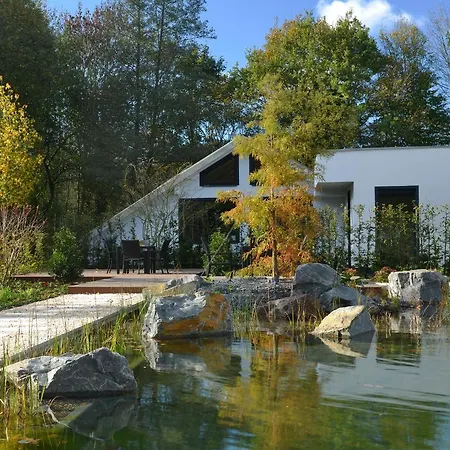 Essensio Duesseldorf